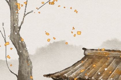 韵母什么意思,韵母什么意思简朴解释