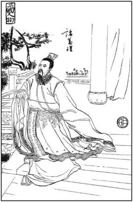 诸葛亮和诸葛瑾既然是亲兄弟 两人为何投入不同政权