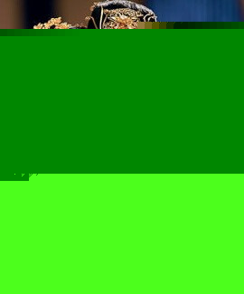 平阳公主与卫青是真爱吗？详解平阳公主的三次婚姻