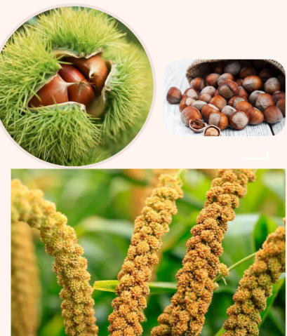 古食探秘：米饭之外的华夏主食万象