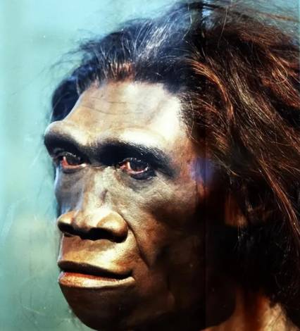 冰火交织下的绝唱：北京猿人灭绝的多重密码