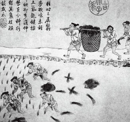 凋敝复生：北魏推行均田制如何让北方农业重焕生机