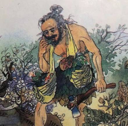 惊！神农亲尝百草的硬核智慧：从五谷到草药，他是如何做到精准辨别的？