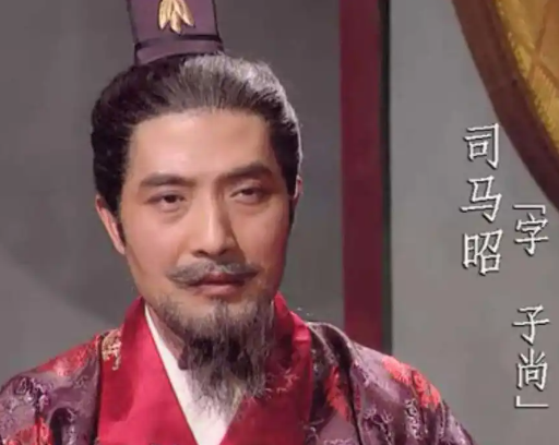 司马昭挥师灭汉,撬动天下格局的终极转折